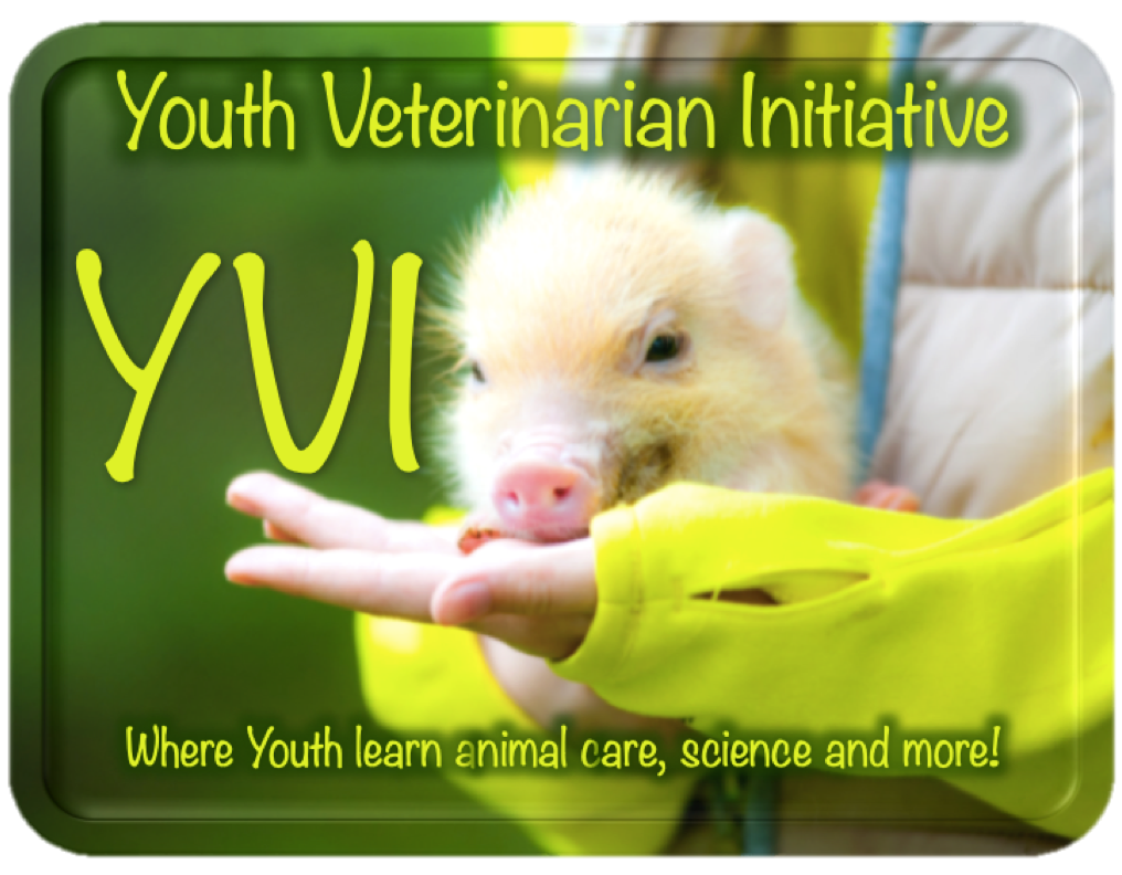 YVI LOGO