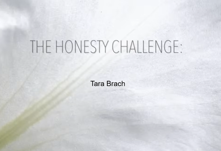 tara brach