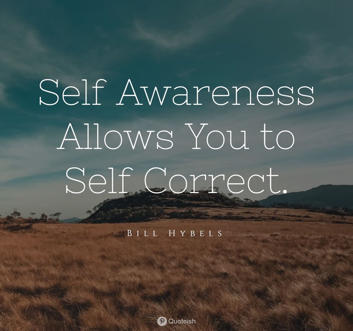Awareness