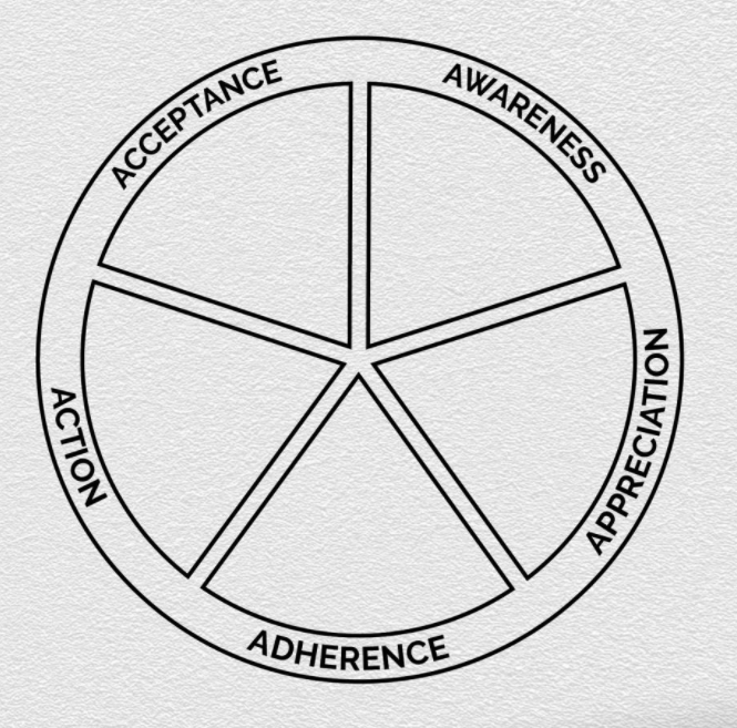 5A color wheel