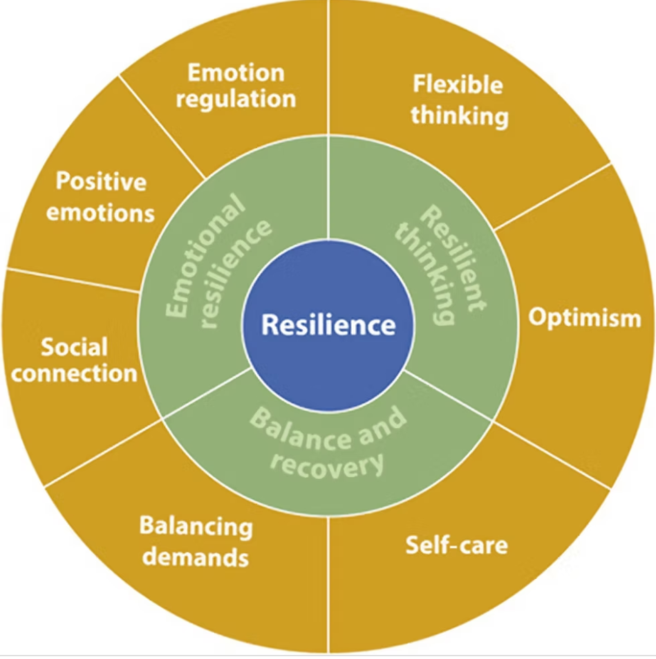 REsilience
